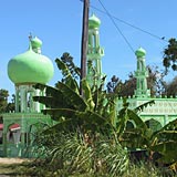 gruene_moschee