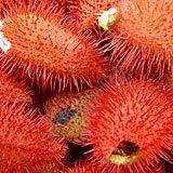 rambutan