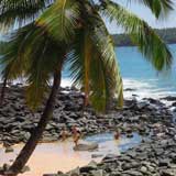French_Guiana_Teufelsinsel